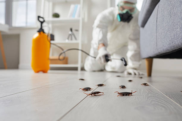 Affordable Cockroach Control solutions in Pine Knot, KY